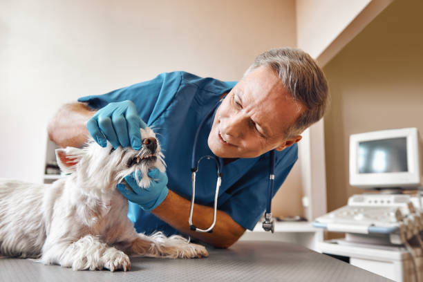 Best Emergency Dentist for Knocked-Out Tooth in San Benito, TX